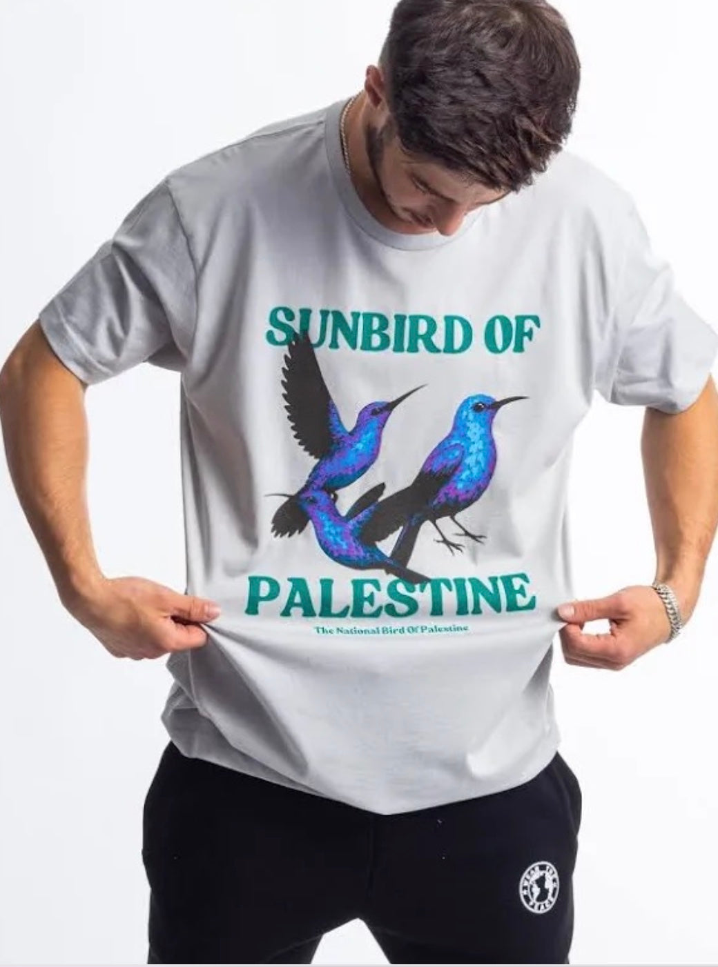 Sunbird of Palestine t-shirt